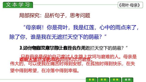 荷花母亲PPT课件11