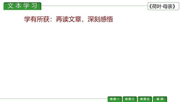 荷花母亲PPT课件12