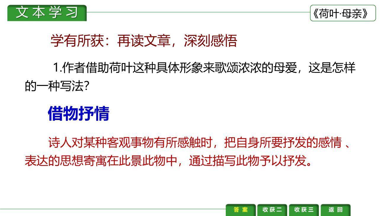 荷花母亲PPT课件13