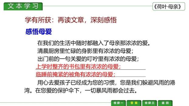 荷花母亲PPT课件14