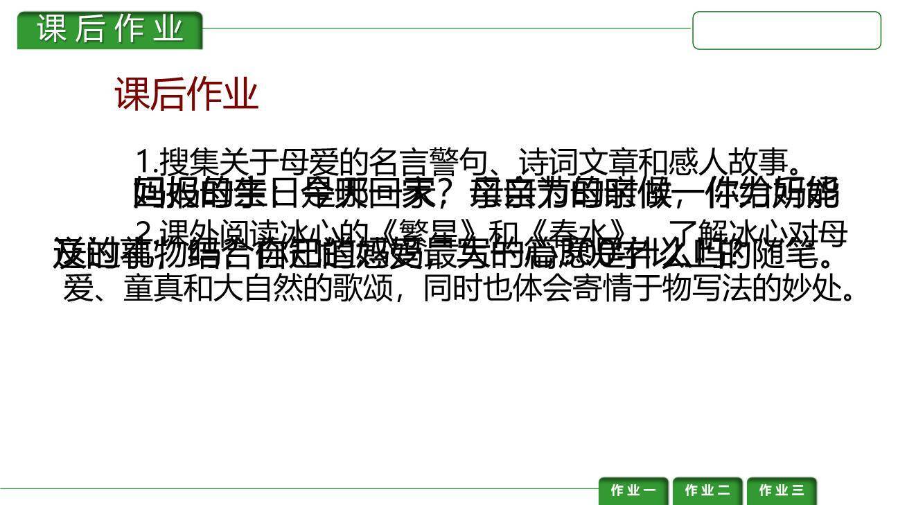 荷花母亲PPT课件16