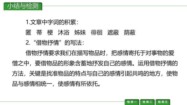 荷花母亲PPT课件17