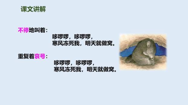 寒号鸟PPT课件88