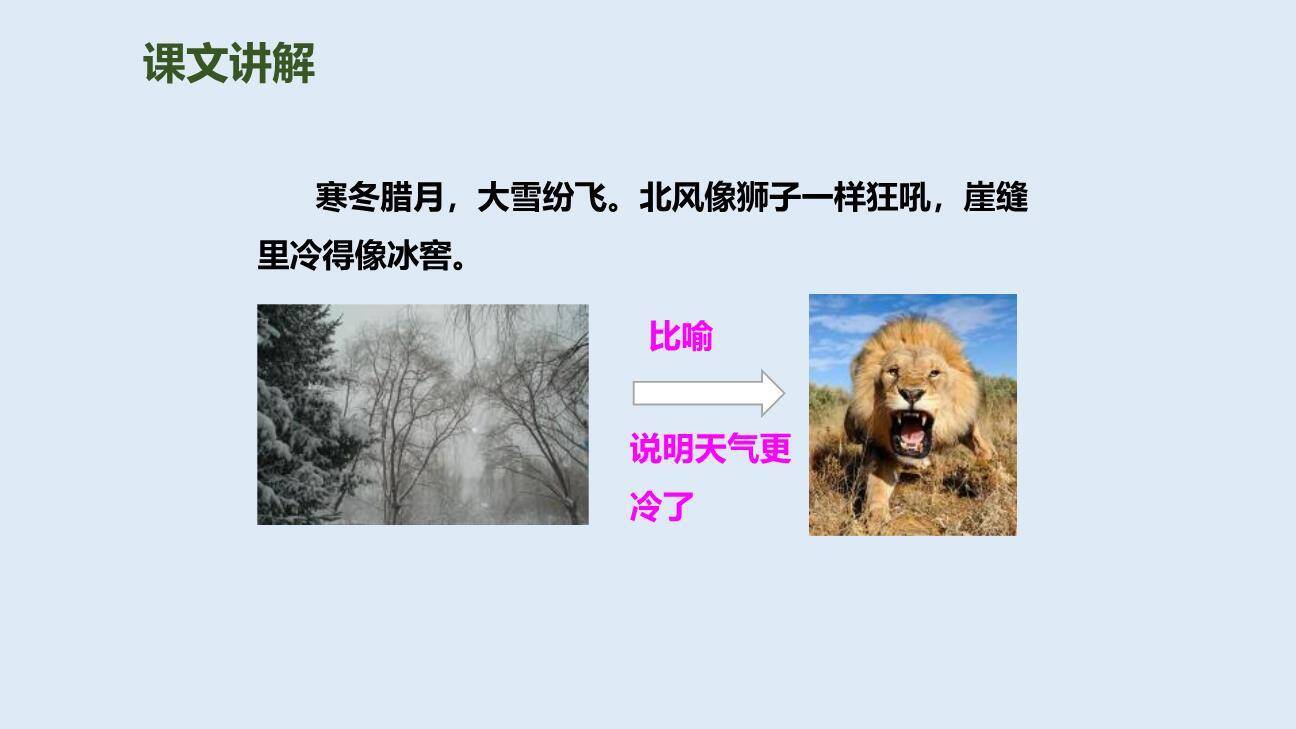 寒号鸟PPT课件83