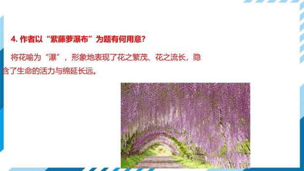 紫藤萝瀑布PPT课件58