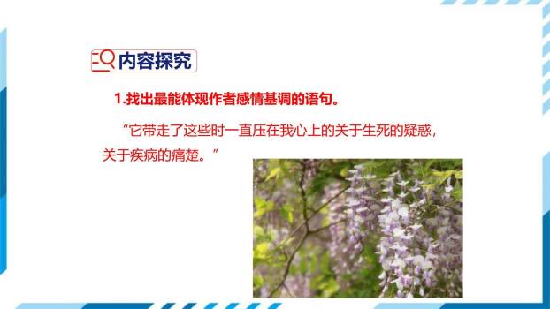 紫藤萝瀑布PPT课件55