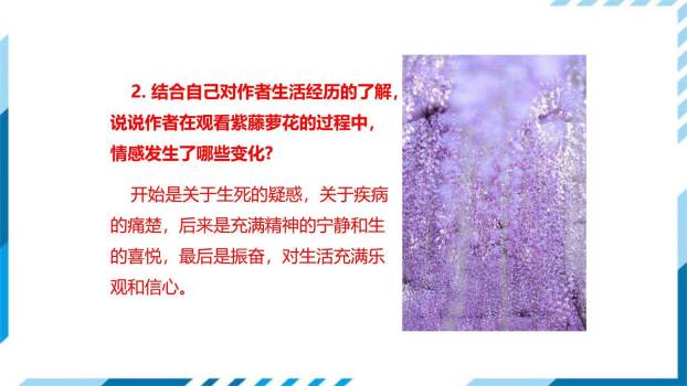 紫藤萝瀑布PPT课件56