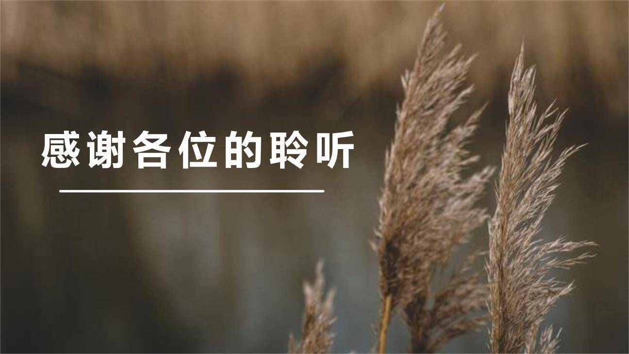 芦花鞋PPT课件28