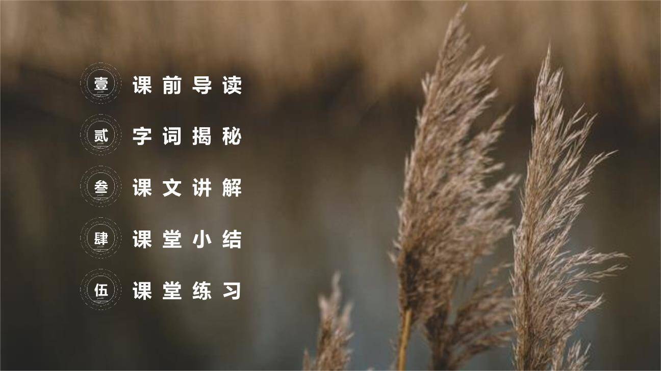 芦花鞋PPT课件29