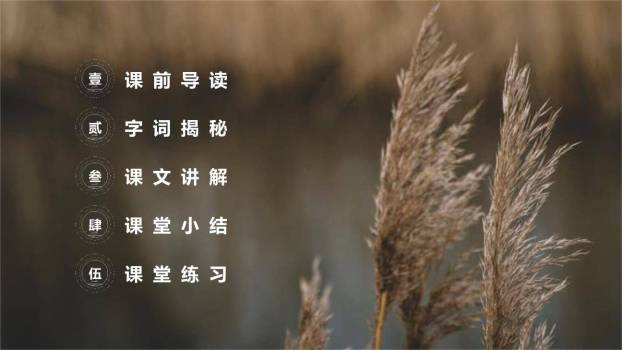 芦花鞋PPT课件29