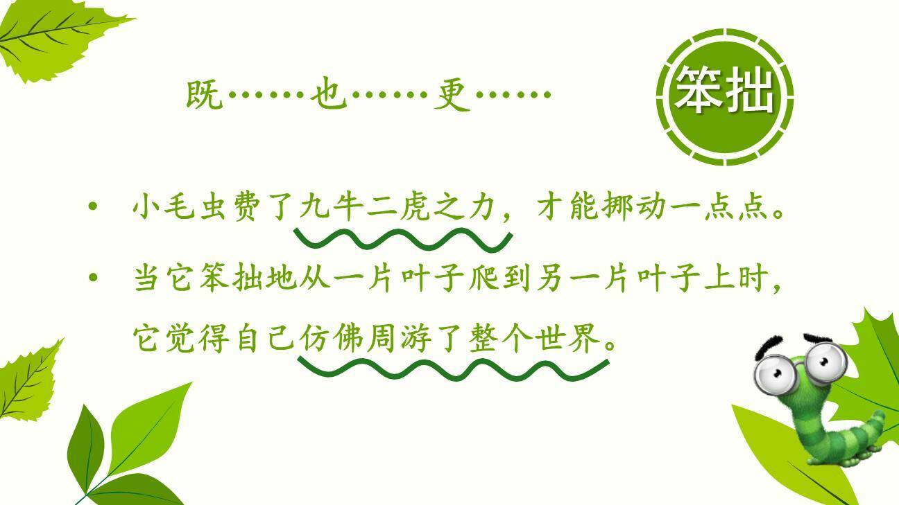 小毛虫PPT课件41