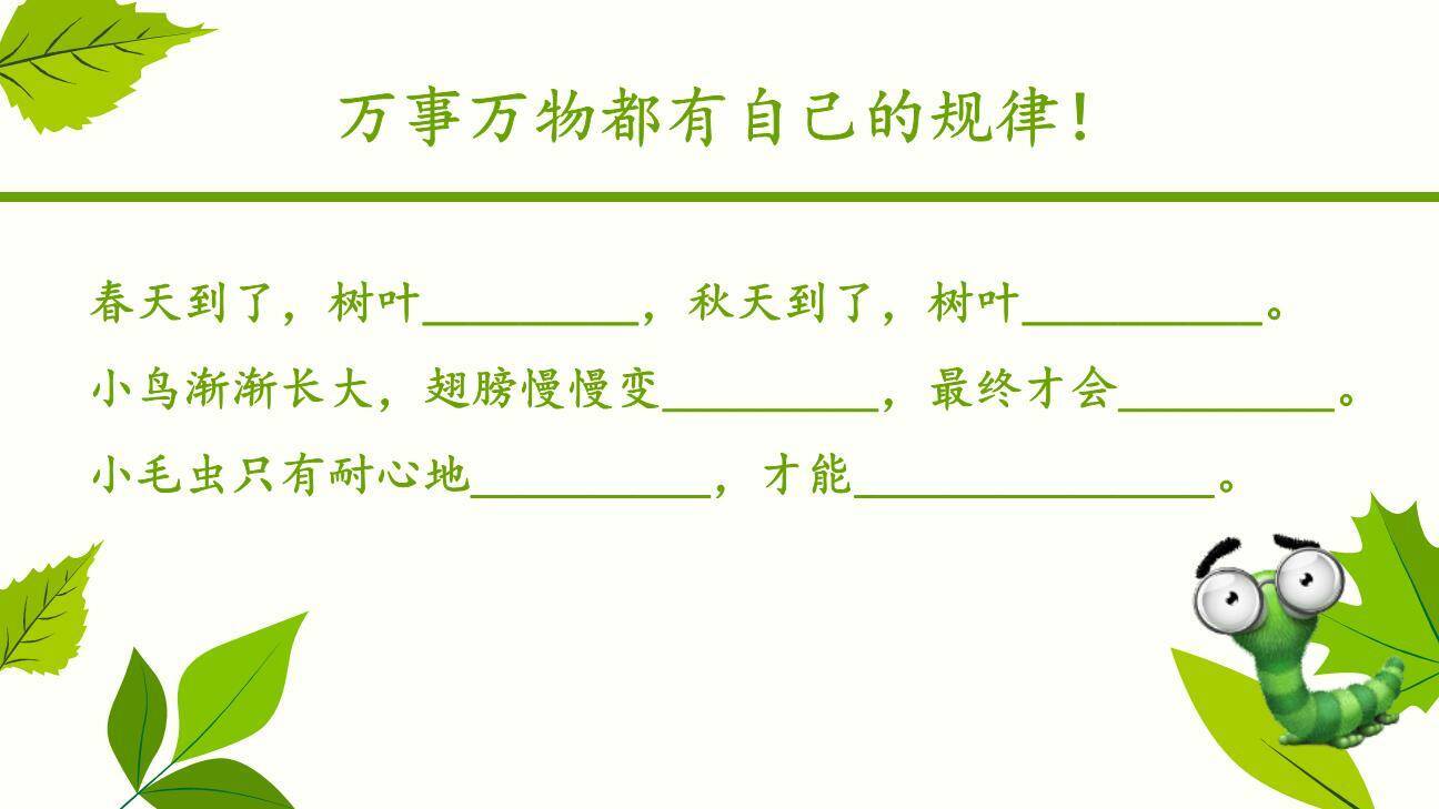 小毛虫PPT课件43
