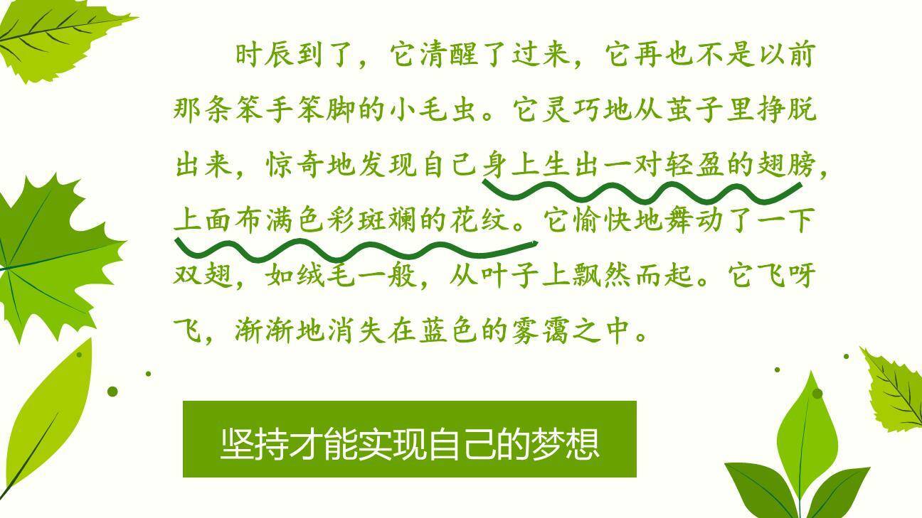 小毛虫PPT课件44