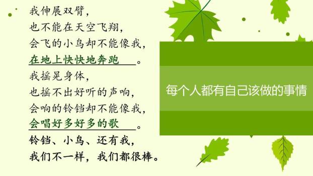 小毛虫PPT课件45