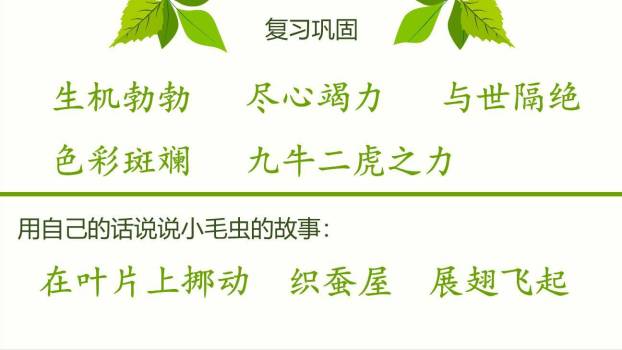 小毛虫PPT课件46