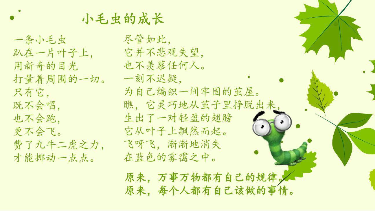 小毛虫PPT课件47
