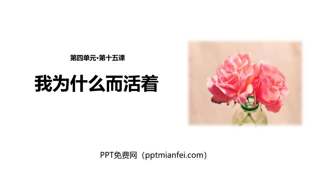 我为什么而活着PPT课件30