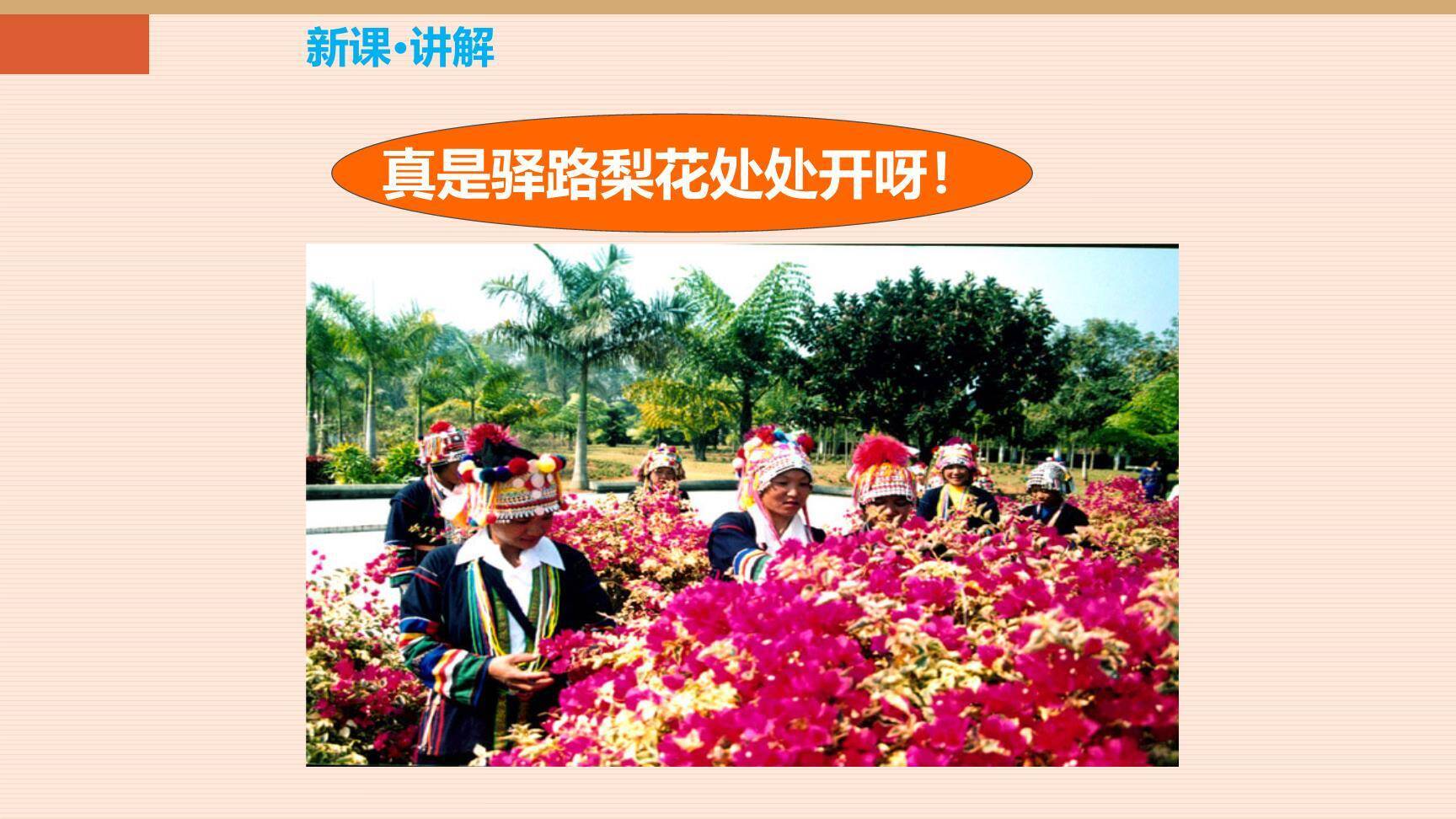 驿路梨花PPT课件54