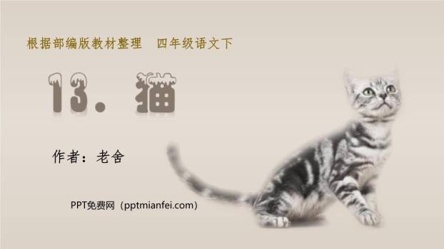 猫PPT课件60