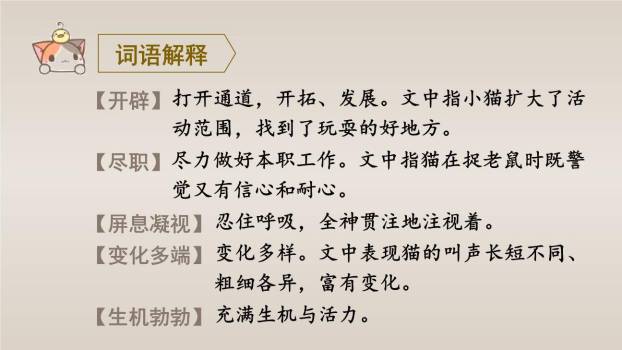 猫PPT课件61