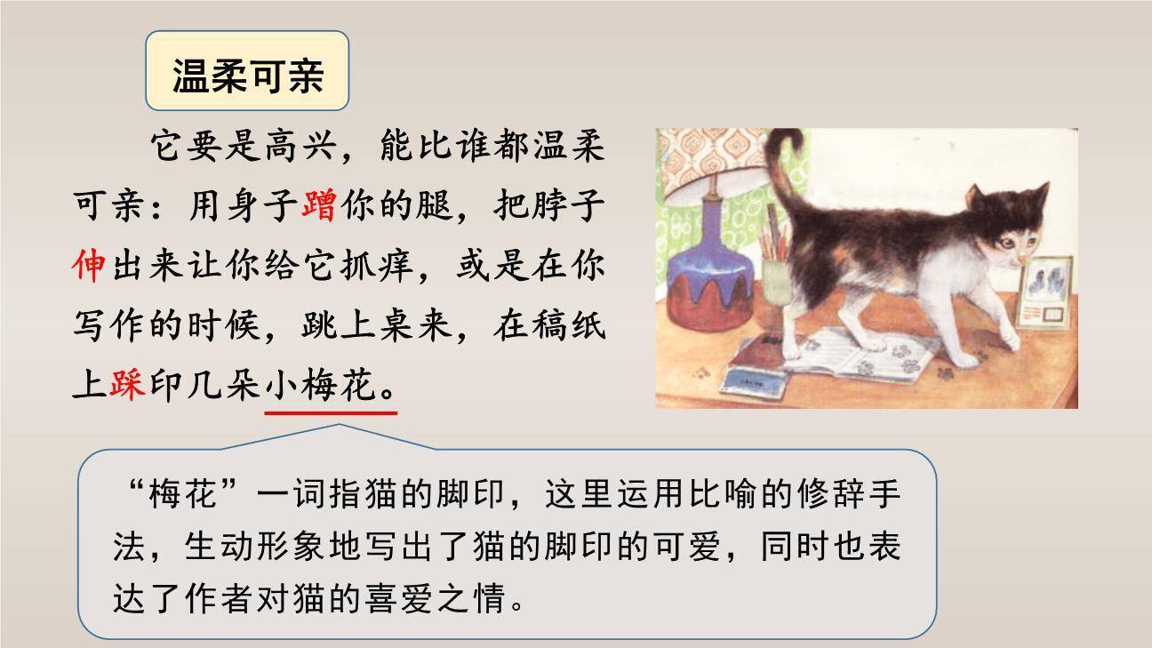 猫PPT课件67