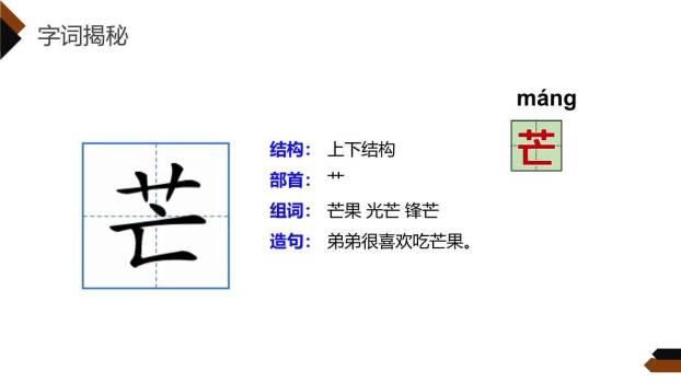 我们奇妙的世界PPT课件14