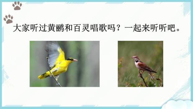 拍手歌PPT课件57