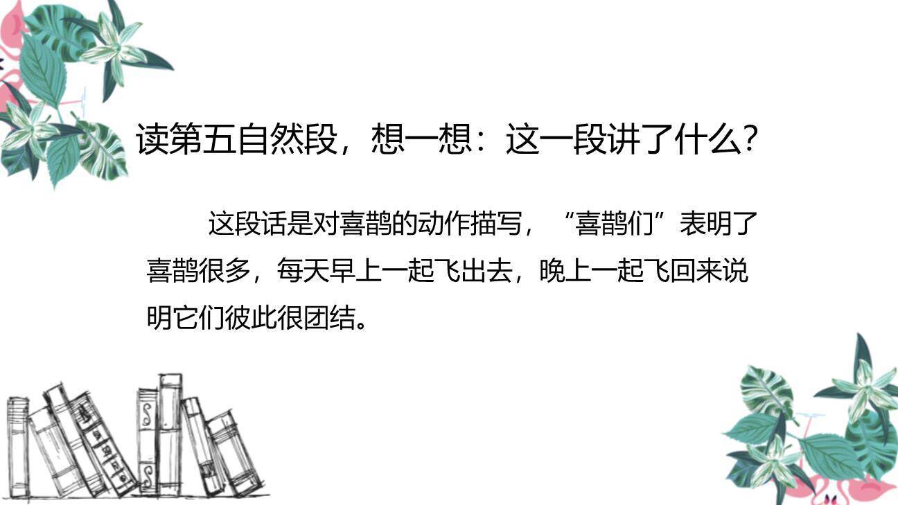 树和喜鹊PPT课件14