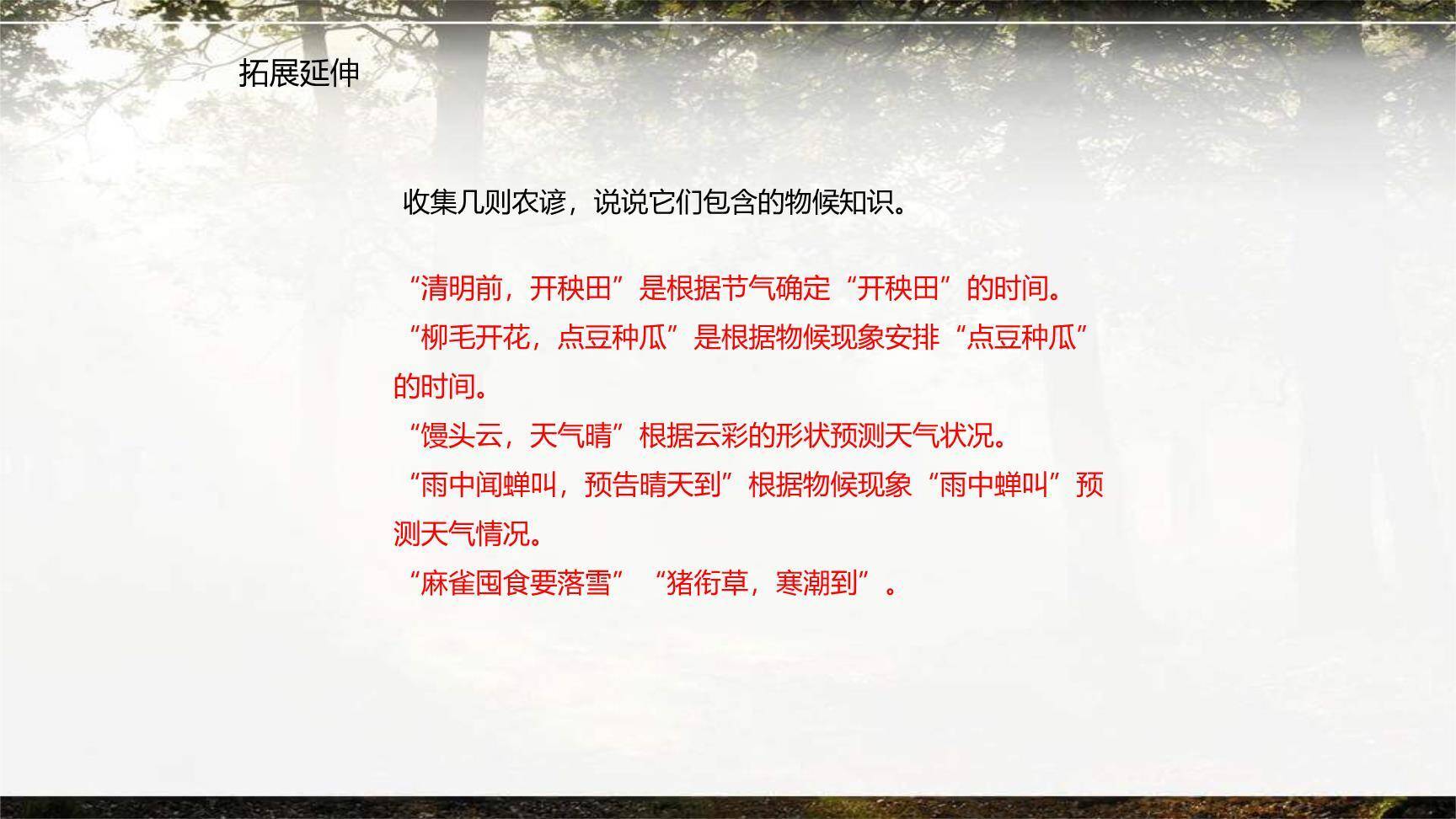 大自然的语言PPT课件27