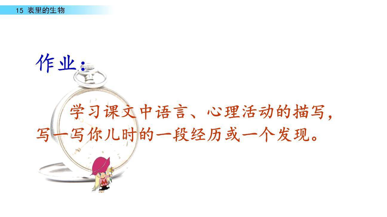 表里的生物PPT课件68