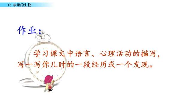 表里的生物PPT课件68