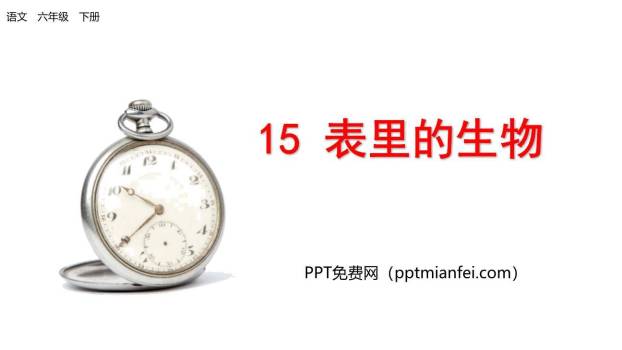 表里的生物PPT课件60