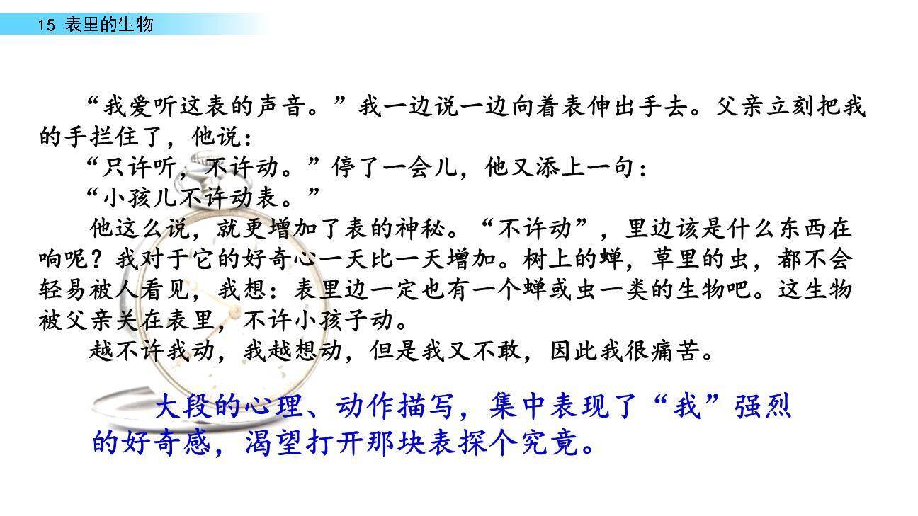 表里的生物PPT课件61