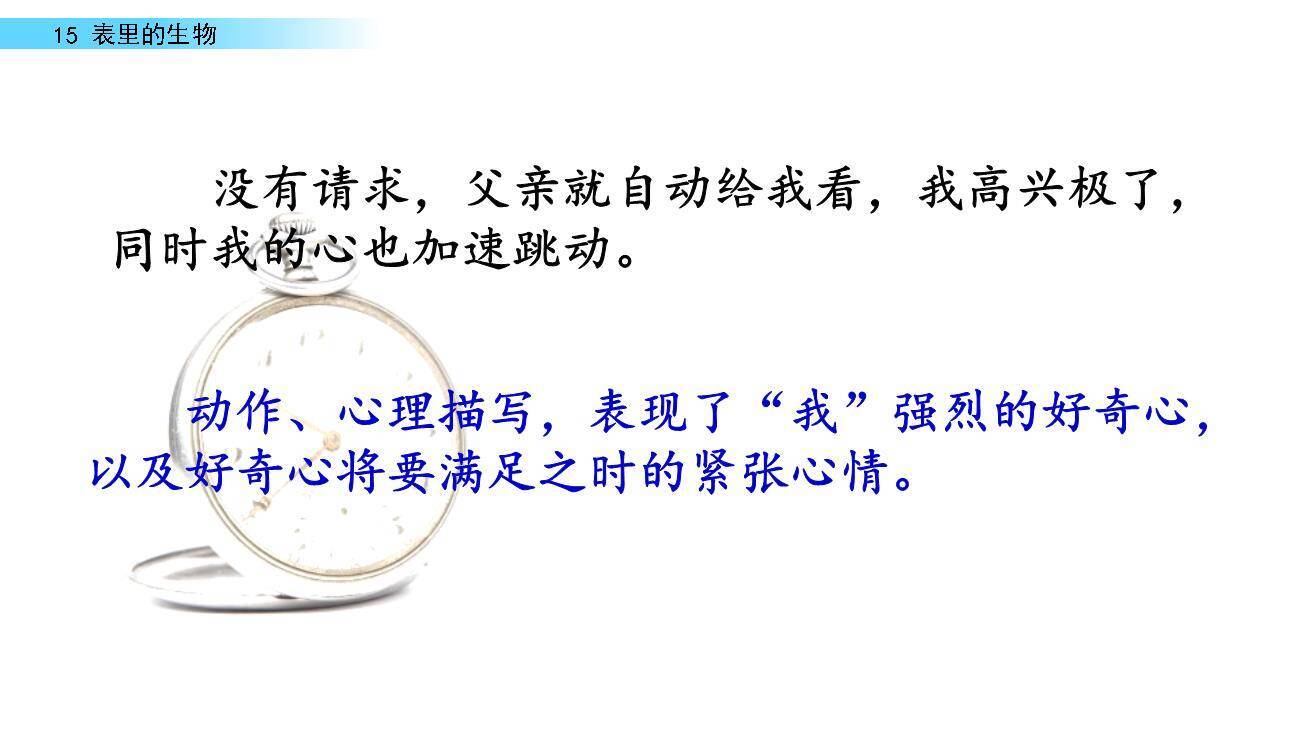 表里的生物PPT课件62