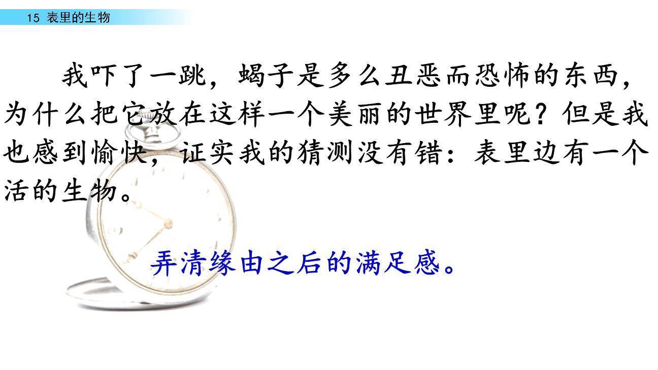 表里的生物PPT课件63