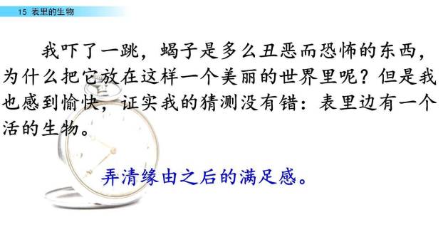 表里的生物PPT课件63