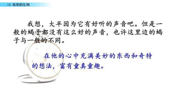 表里的生物PPT课件64