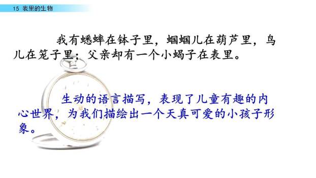 表里的生物PPT课件65