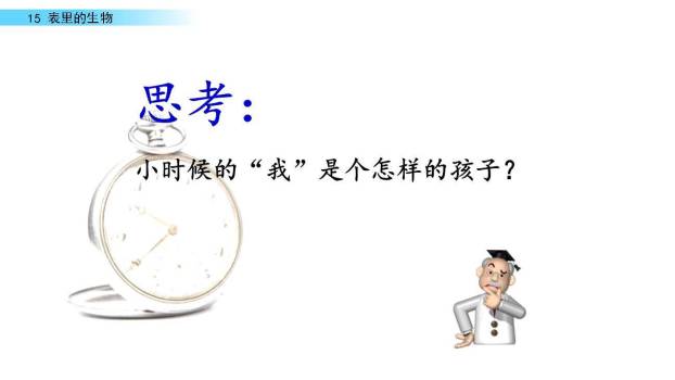 表里的生物PPT课件67