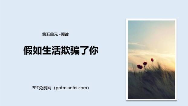假如生活欺骗了你PPT课件30