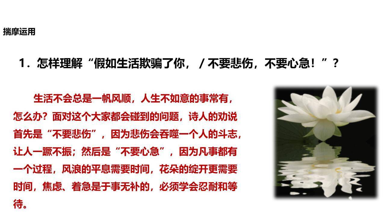 假如生活欺骗了你PPT课件33