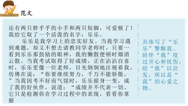 我的心爱之物PPT课件17