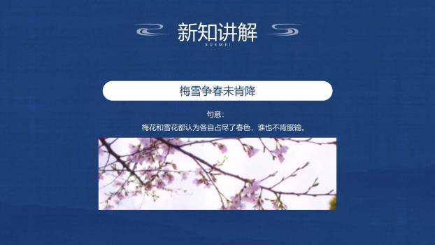 雪梅PPT课件43