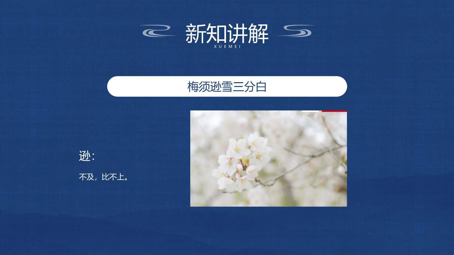 雪梅PPT课件46