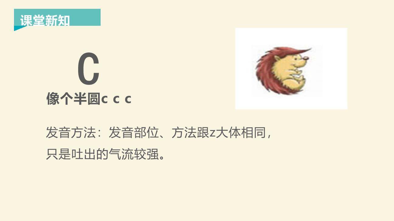 《zcs》PPT课件17