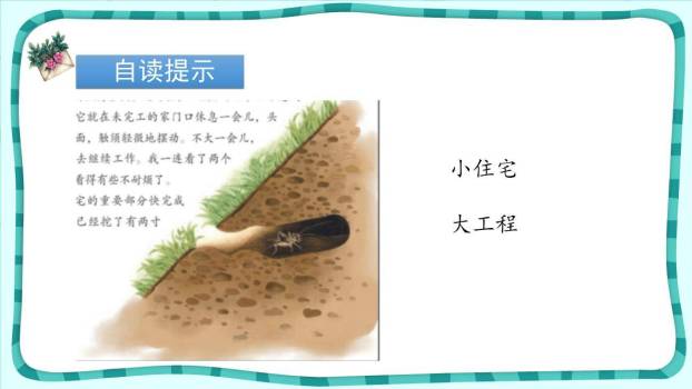 蟋蟀的住宅PPT课件88