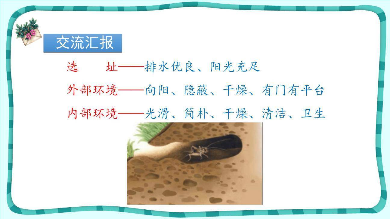 蟋蟀的住宅PPT课件85
