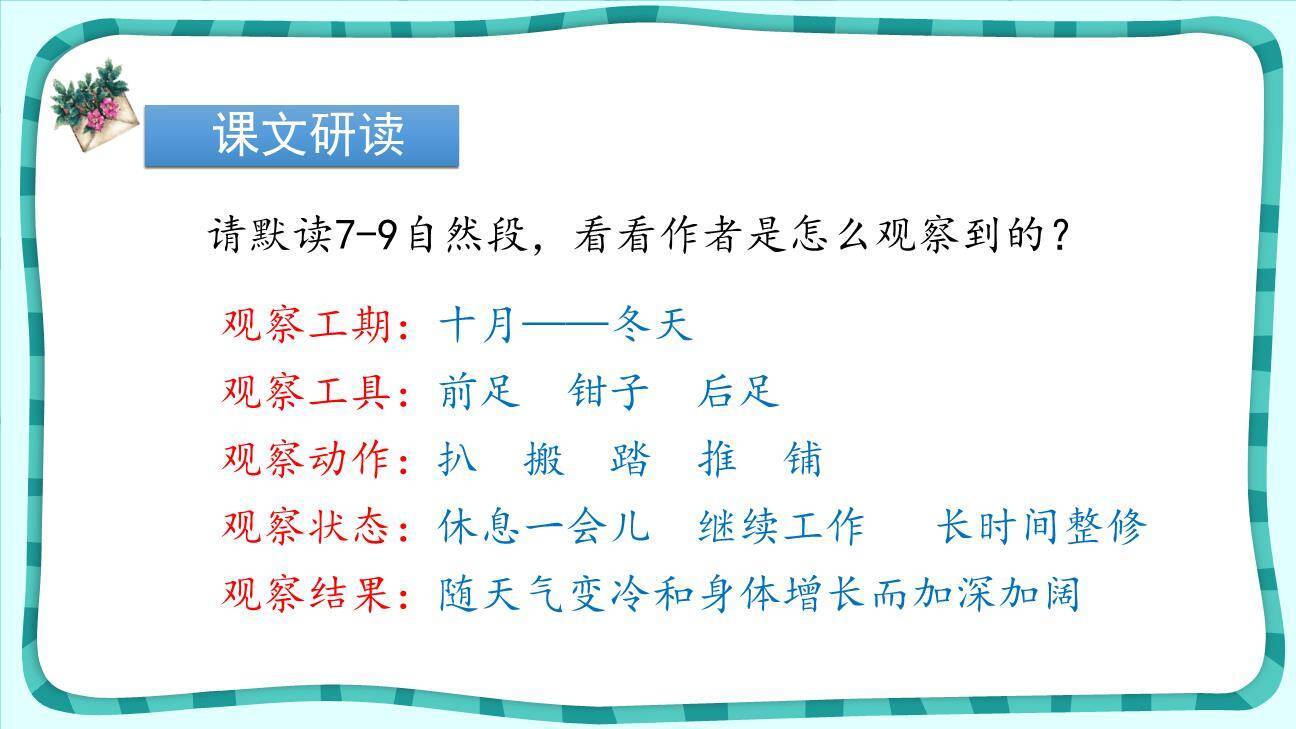 蟋蟀的住宅PPT课件87