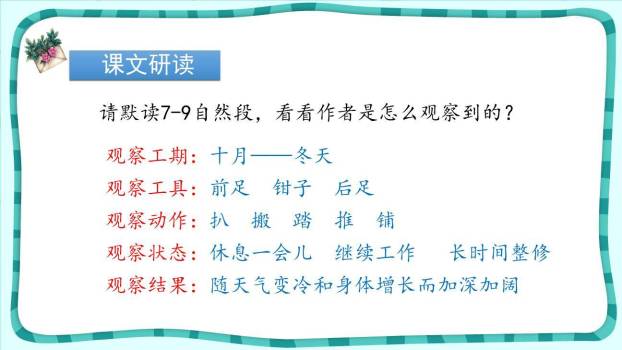 蟋蟀的住宅PPT课件87