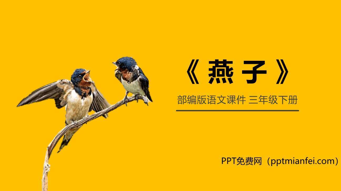 燕子PPT课件30
